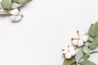 Düz çiçek kompozisyon yatıyordu. Açık gri arka planda pamuk çiçekler ve taze okaliptüs dallar yapılmış çerçeve. Üst görünüm, kopya alanı. Hassas Beyaz Pamuk çiçekler. Çiçek arka plan, tebrik kartı
