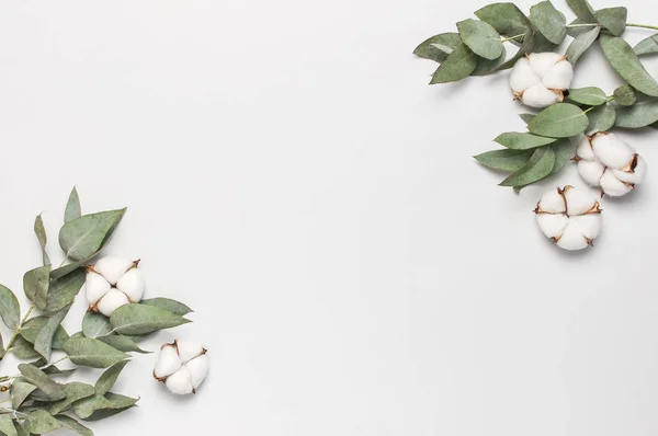 Flat lay flowers composition. Frame made of cotton flowers and fresh eucalyptus twigs on light gray background. Top view, copy space. Delicate white cotton flowers. Floral background, greeting card