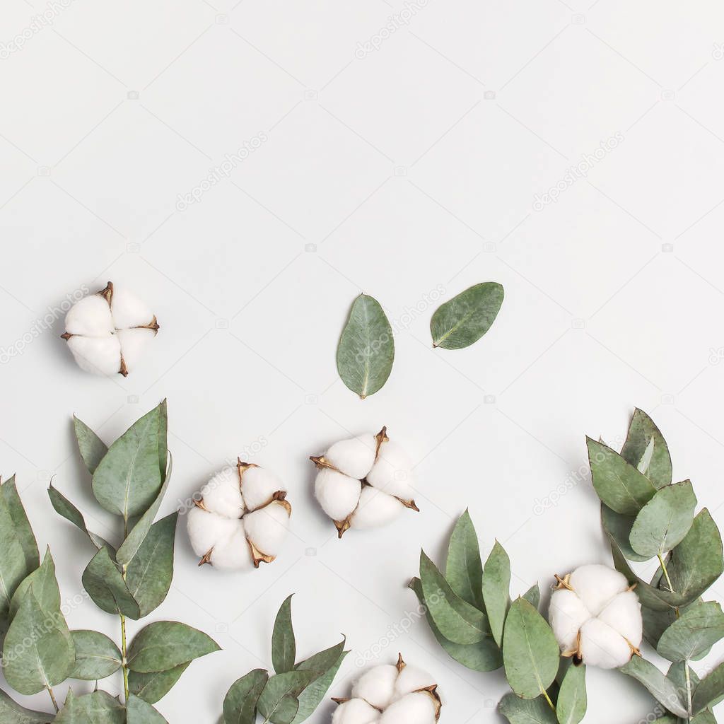 Flat lay flowers composition. Cotton flowers and fresh eucalyptus twigs on light gray background. Top view, copy space. Delicate white cotton flowers. Floral background, greeting card