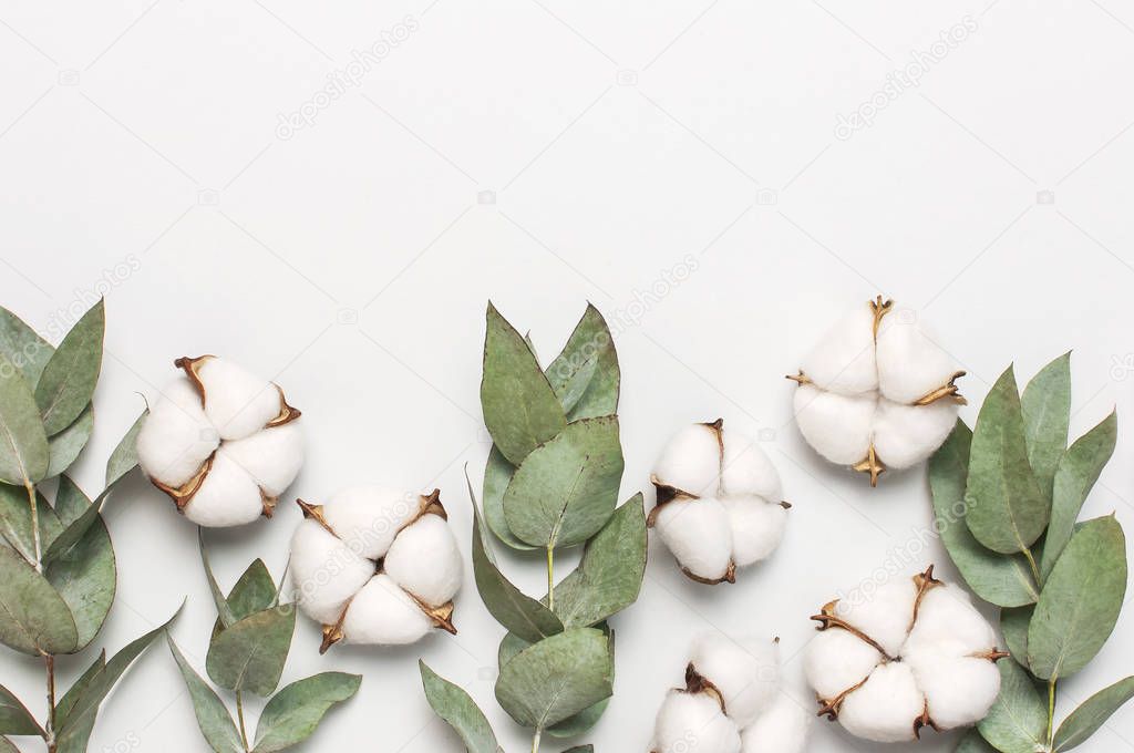 Flat lay flowers composition. Cotton flowers and fresh eucalyptus twigs on light gray background. Top view, copy space. Delicate white cotton flowers. Floral background, greeting card