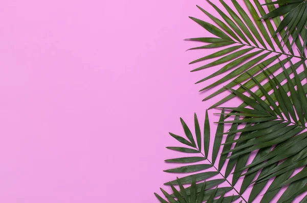 Tropical palm leaves on pastel pink background. Flat lay, top view, copy space. Summer background, nature. Creative minimal background with tropical leaves. Leaf pattern