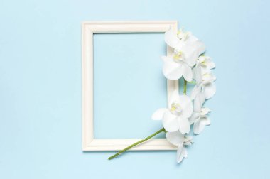 Güzel Beyaz Phalaenopsis orkide çiçekler, mavi arka plan üst görünüm düz ahşap beyaz fotoğraf çerçeveleri yatıyordu. Tropikal çiçek, orkide dalı yakın. Orkide arka plan. Kadınlar Günü, Çiçek Kartı