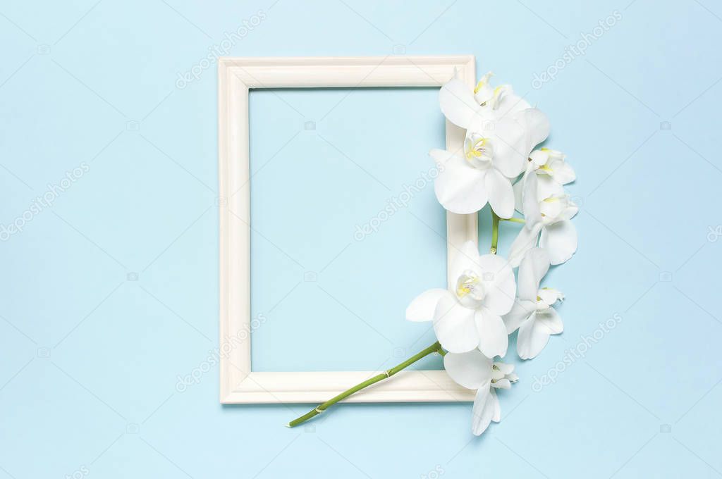 Beautiful White Phalaenopsis orchid flowers, wooden white photo frames on blue background top view flat lay. Tropical flower, branch of orchid close up. Orchid background. Women's Day, Flower Card