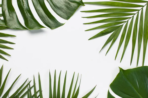 Frame of tropical palm leaves and monstera leaf on light gray background. Flat lay, top view, copy space. Summer background, nature. Creative minimal background with tropical leaves.