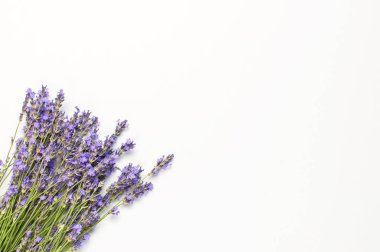 Çiçek kompozisyonu. Açık gri arka planda mor lavanta taze çiçekler. Düz lay üst görünüm kopyalama alanı. Lavanta, çiçek arka plan, çiçek kartı. Minimal konsept.