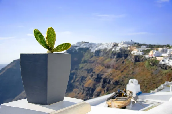 Arquitetura branca na ilha de Santorini, Grécia, mar Egeu, Europa. Linda paisagem de verão, vista mar. Um cacto verde na panela nas ruas. Destino de viagem famoso — Fotografia de Stock