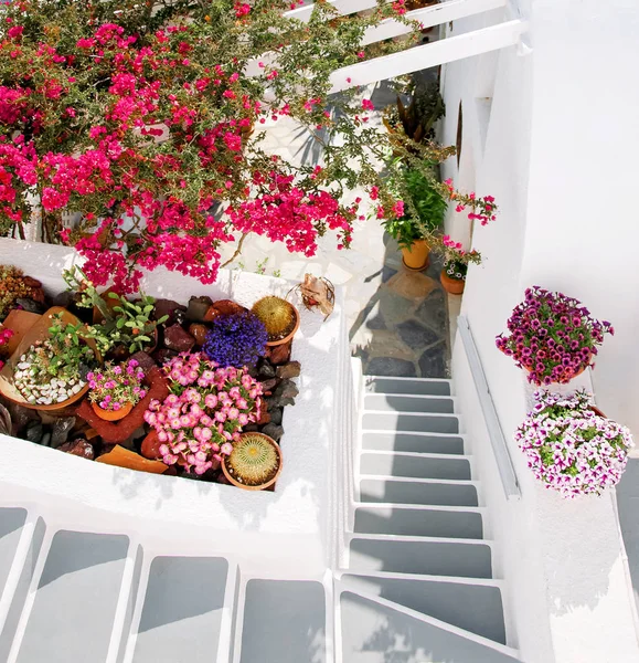Santorini, Grécia, Europa. Arquitetura grega branca clássica com uma escada, várias flores bonitas. Ruas de Santorini, detalhes. Destino de viagem famoso. Fundo de férias — Fotografia de Stock
