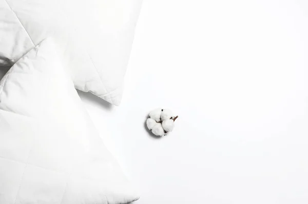 柔软的白色棉被枕头和棉枝在浅色背景上的顶部视图。清洁枕头、室内用品、床上用品模型设计模板 — 图库照片
