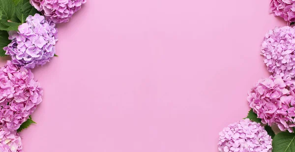 Rám krásných květin z růžových hortenzie se zelenými listy na růžovém pozadí s výhledem na list. Květinová karta. Svátek, blahopřání, den šťastných matek. Mezinárodní den žen — Stock fotografie