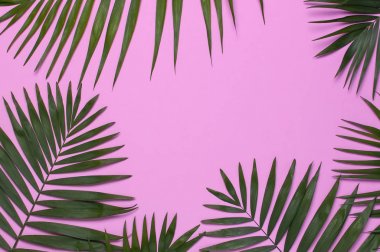 Pastel pembe arka plan üzerinde tropikal palmiye yaprakları çerçeve. Düz döşeme, üst görünüm, kopyalama alanı. Yaz geçmişi, doğa. Tropikal yaprakları ile Yaratıcı minimal arka plan. Yaprak deseni