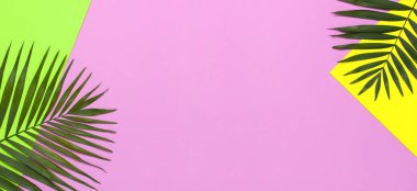 Tropikal palmiye parlak sarı yeşil pembe arka plan üzerinde yaprakları. Düz döşeme, üst görünüm, kopyalama alanı. Yaz geçmişi, doğa. Tropikal yaprakları ile Yaratıcı minimal arka plan. Yaprak deseni