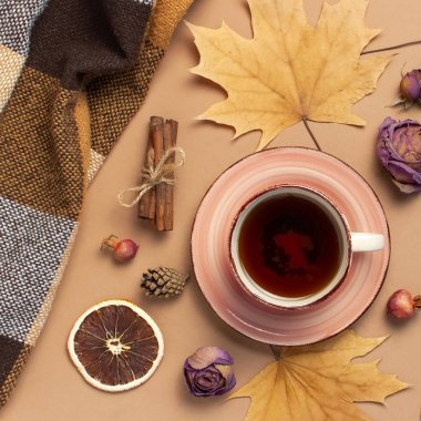 Sonbahar daire kompozisyon yatıyordu. Fincan çay, damalı ekose, sonbahar kuru yaprakları, gül çiçekleri, turuncu daire koni dekoratif nar tarçın kahverengi bej arka plan üst görünümünde sopa. Sonbahar konsepti