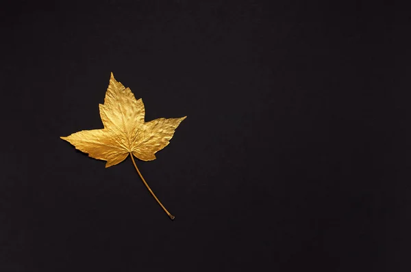 Flat lay creative autumn composition. Golden maple leaf on black background top view copy space. Fall concept. Autumn background. Minimal concept idea, floral design — Stock Photo, Image