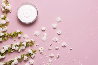 Güzellik Spa konsepti. Pembe arka plan Düz üzerinde krem ve bahar Beyaz çiçekler ile açılan plastik konteyner üst görünümü yatıyordu. Bitkisel dermatoloji kozmetik hijyenik krem, organik kozmetik Doğal