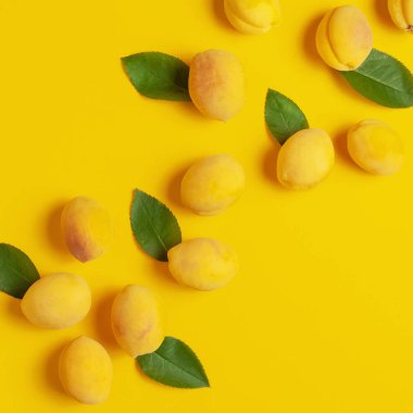 Olgun taze kayısı meyve yeşil yaprakları ile sarı arka plan üzerinde. Düz döşeme, üst görünüm, kopyalama alanı. Taze organik kayısı, diyet vegan gıda. Yaratıcı Kayısı deseni. Hasat konsepti