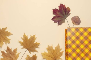 Autumn, sonbahar konsepti. Turuncu hediye kağıt çanta ve sonbahar kurutulmuş pastel bej arka planda yaprakları kontrol. Düz yatıyordu, üst görünüm, kopya alanı. Yaratıcı sonbahar kompozisyon. Cadılar Bayramı, Şükran günü