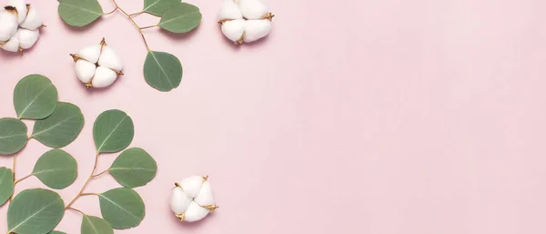 Cotton flowers and green eucalyptus twig on pastel pink background. Flat lay, top view, copy space. Flower composition with delicate cotton flowers. Cotton background
