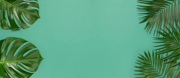 Fondo mínimo creativo con hojas tropicales. Marco de hojas de palma tropical y hoja de monstera sobre fondo azul esmeralda. Piso tendido, vista superior, espacio para copiar. Fondo de verano, naturaleza. Formato largo — Foto de Stock
