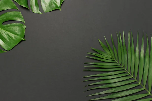 Tropikal palmiye yaprakları ve gri siyah arka plan üzerinde monstera yaprağı. Düz döşeme, üst görünüm, kopyalama alanı. Yaz geçmişi, doğa. Tropikal yaprakları ile Yaratıcı minimal arka plan. Yaprak deseni — Stok fotoğraf