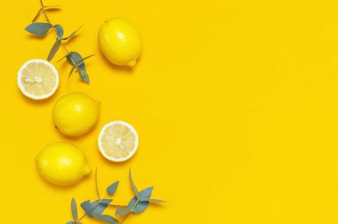 Olgun sulu limon ve parlak sarı zemin üzerine yeşil okaliptüs twigs. Limon meyve narenciye en az kavramı. Yaratıcı yaz yiyecek minimalist arka plan. Düz yatıyordu, en iyi görünüm, kopya alanı