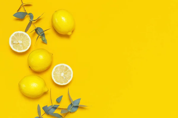 Maturare limoni succosi e ramoscelli di eucalipto verde su sfondo giallo brillante. Limone, agrumi concetto minimale. Cibo estivo creativo sfondo minimalista. Layout piatto, vista dall'alto, spazio di copia — Foto Stock