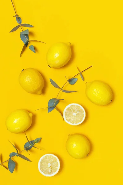 Olgun sulu limon ve parlak sarı zemin üzerine yeşil okaliptüs twigs. Limon meyve narenciye en az kavramı. Yaratıcı yaz yiyecek minimalist arka plan. Düz yatıyordu, en iyi görünüm, kopya alanı — Stok fotoğraf