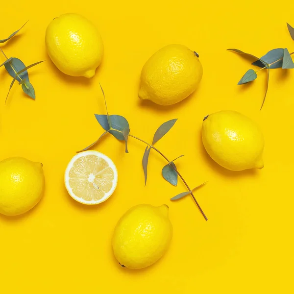 Olgun sulu limon ve parlak sarı arka plan üzerinde yeşil okaliptüs dalları. Limon meyvesi, narenciye minimal kavramı. Yaratıcı yaz gıda minimalist arka plan. Düz döşeme, üst görünüm, kopyalama alanı. Meydanı — Stok fotoğraf