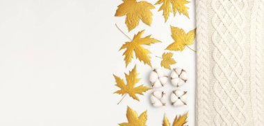 Düz yatıyordu sonbahar kompozisyon. Örgü yünlü açık bej kazak veya ekose, altın kuru yaprakları, beyaz arka plan üst görünüm kopya alanı pamuk çiçekler. Sonbahar, sonbahar konsepti. Örme doku