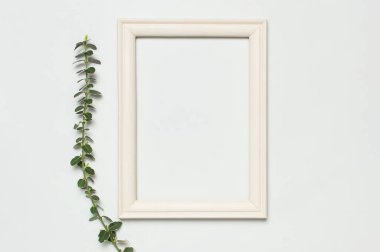 Beyaz ahşap fotoğraf çerçevesi ve gri arka plan üzerinde bitkilerin bahar yeşil dalları. Düz lay üst görünüm kopyalama alanı. Şık minimal kompozisyon, resim maket, resim çerçevesi, ev dekorasyonu