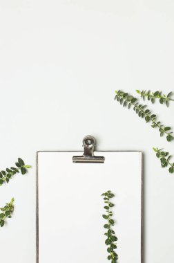 Klasör ve metal clothespin ile boş beyaz kağıt, gri arka plan üst görünüm düz üzerinde bitkilerin bahar yeşil dalları kopyalama alanı yatıyordu. Dekoratif bitki dalı, çiçek kompozisyon mockup Minimalist tarzı