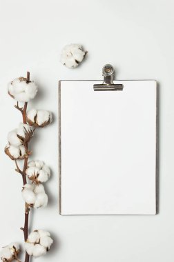Klasör ve metal clothespin ile boş beyaz kağıt, gri arka plan üst görünüm düz üzerinde pamuk dalı kopyalama alanı yatıyordu. Dekoratif bitki dalı, çiçek kompozisyonu, yaratıcı masaüstü maket Minimal tarzı