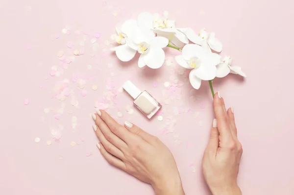 Las manos de la mujer con manicura suave sostienen la rama de las flores blancas de la orquídea de Phalaenopsis sobre fondo rosado pastel con la vista superior plana festiva del confeti. Flor tropical. Día de la Mujer Holiday Flower Card — Foto de Stock