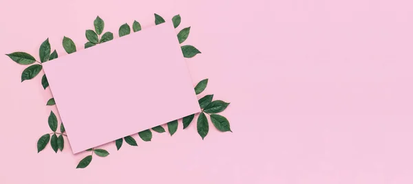 Composição de flores. Papel em branco rosa, folhas de rosa verde fresco no fundo rosa doce. Deitado plano, vista superior, espaço de cópia. Cartão de flores, saudação, maquete de férias. Dia dos Namorados fundo — Fotografia de Stock