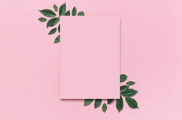 Composição de flores. Papel em branco rosa, folhas de rosa verde fresco no fundo rosa doce. Deitado plano, vista superior, espaço de cópia. Cartão de flores, saudação, maquete de férias. Dia dos Namorados fundo — Fotografia de Stock