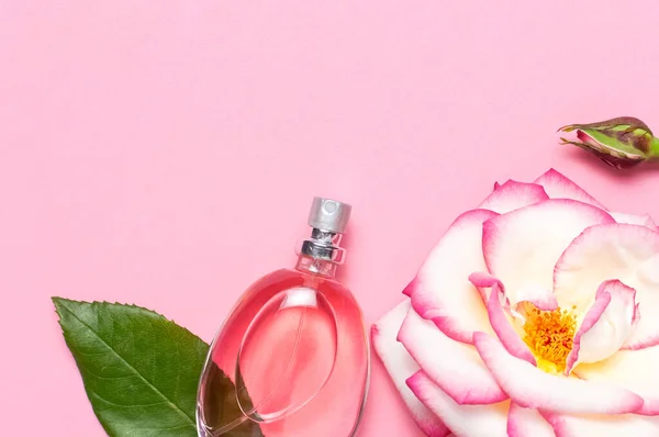 Beautiful composition with perfume and flowers. Perfume bottles, rose flowers petals green leaves on pink background top view Flat lay copy space. Perfumery cosmetics toilet water fragrance collection.