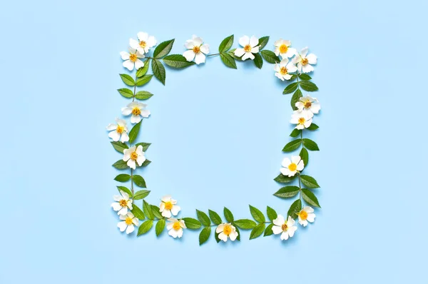 Ramka Piękny Wiosna Biały Kwiat Zielony Liść Błękitny Tło Płaski — Zdjęcie stockowe
