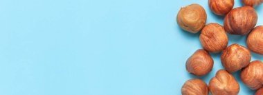 Yaratıcı gıda düzeni. Mavi arkaplandaki fındıklar üst görünüm kopyalama alanı. Yiyecek kavramı, sağlıklı beslenme, fındık, sağlıklı yağ. Fındık ezmesi. Ceviz deseni. Organik sağlıklı vegan atıştırmalık makro shot.
