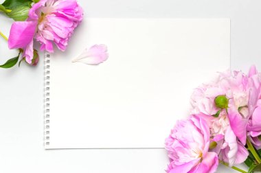 Boş beyaz not defteri albümü, gri arka planda güzel pembe şakayık çiçekleri. Üst görünüm düz kopya alanı. Kadın masaüstü, masa başı çalışan kadın, kahvaltı, planlama zamanı..