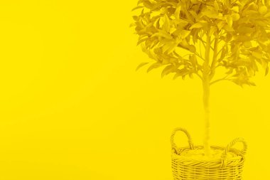 Limonlu yaratıcı bir düzen. Sarı arka planda meyve dolu limon ağacı. Citrus ağacı, C vitamini, sağlıklı meyve. Üç boyutlu sarı çizim. Ev yapımı limon ağacı..
