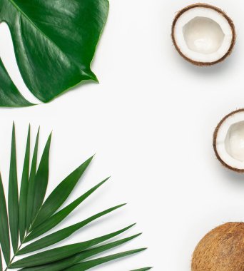 Beyaz arka planda tropik yapraklar ve taze hindistan cevizi. Düz konum, üst görünüm, kopyalama alanı. Yaz geçmişi, doğa. Sağlıklı yemek. Yaratıcı sağlıklı gıda konsepti, hindistan cevizinin yarısı. Kırık hindistan cevizi