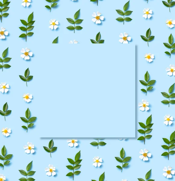 Muster Des Schönen Frühlings Weißen Blüten Grünen Blättern Auf Blauem — Stockfoto