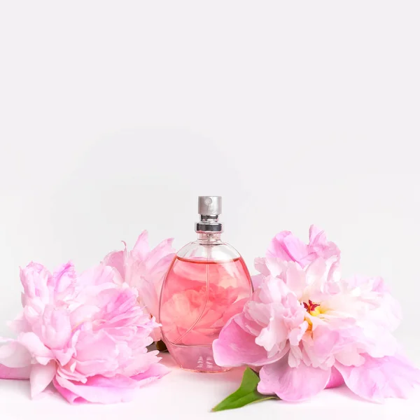 Piękna Kompozycja Perfumami Kwiatami Butelka Perfum Różowe Kwiaty Piwonie Zielone — Zdjęcie stockowe