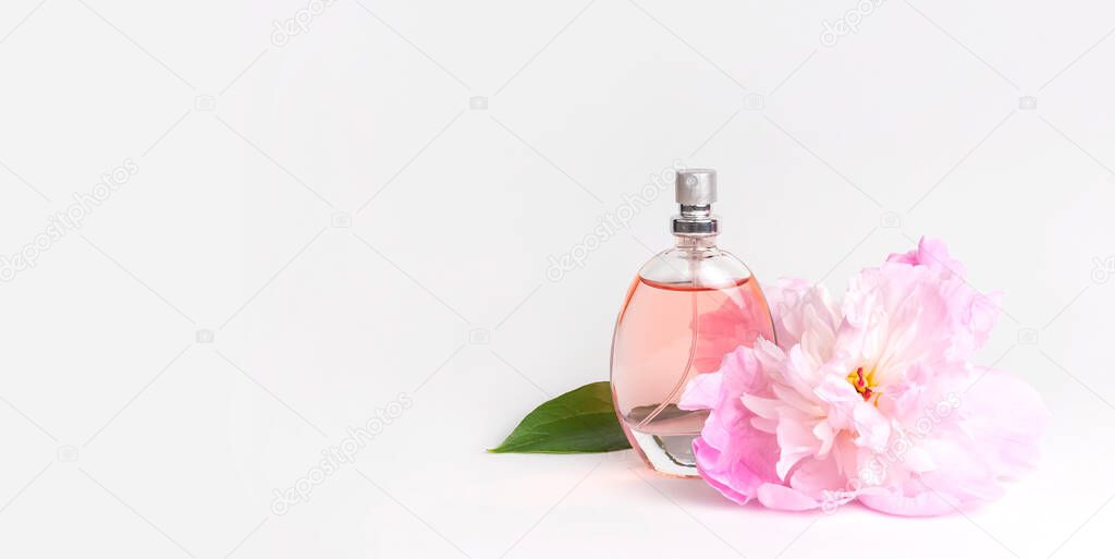 Beautiful composition with perfume and flowers. Perfume bottle, pink flowers peonies green leaves on light background Flat lay copy space Perfumery cosmetics toilet water fragrance collection.