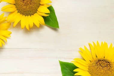 Beyaz ahşap zemin üzerinde sarı ayçiçeklerinden yapılmış çerçeve üst görünüm kopyalama alanı. Güzel taze ayçiçekleri, sarı çiçek buketi. Hasat zamanı, tarım sonbaharı ya da yaz çiçekleri.