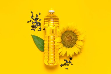 Ayçiçeği yağlı plastik şişeler, taze sarı ayçiçekleri, sarı arka planda ayçekirdeği. Düz görünüm kopyalama alanı yatıyordu. Hasat zamanı tarım petrol üretimi. Sağlıklı yağlar, yiyecek.