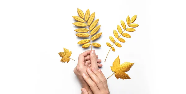 Mężczyzna ręce trzymać złoty jesień liście na białym tle góry widok przestrzeń kopiowania. Jesienna minimalistyczna koncepcja, Jesień. Jesienne tło. Minimalny kwiatowy wzór, jesienna kompozycja. Gałązka złota — Zdjęcie stockowe