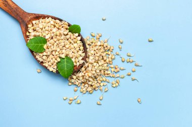 Ahşap kaşıkta yeşil filizlenmiş karabuğday ve mavi arka planda yeşil yapraklar. Düz görünüm kopyalama alanı yatıyordu. Sağlıklı vejetaryen yiyecekler, ekolojik ürünler, diyet, organik. Yeşeren yeni hayat hasat mevsimi tarımı.