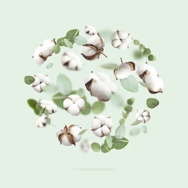 Flying cotton flowers, green twigs of eucalyptus on mint green background. Creative Floral background with cotton, delicate flowers of fluffy cotton. Flat lay flowers composition, greeting card.
