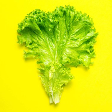 Parlak sarı arka planda taze yeşil marul yaprakları üst tarafta yatıyordu. Salata, sağlıklı vejetaryen yiyecekler, ekolojik ürünler, sebze, diyet, vitaminler. Yiyecek konsepti.