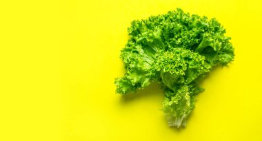 Parlak sarı arka planda taze yeşil marul yaprakları üst tarafta yatıyordu. Salata, sağlıklı vejetaryen yiyecekler, ekolojik ürünler, sebze, diyet, vitaminler. Yiyecek konsepti.